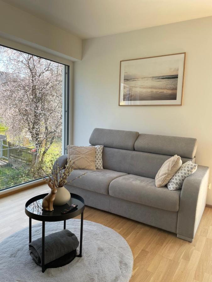 Luxury - Apartment Mit Balkon In Seenaehe 그문덴 외부 사진